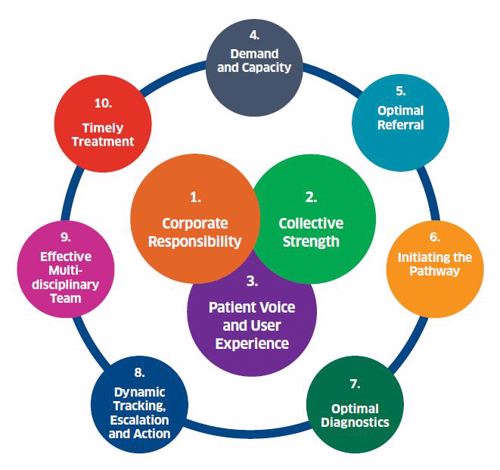 Image shows the Cancer Management Framework's 10 Key Elements. These are 1. Corporate Responsibility 2. Collective Strength 3. Patient Voice and User Experience 4. Demand and Capacity 5. Optimal Referral 6. Initiating the Pathway 7. Optimal Diagnostics 8. Dynamic Tracking, Escalation and Action 9. Effective multi-disciplinary team 10. Timely Treatment